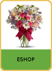 Eshop s květinami v Plzni