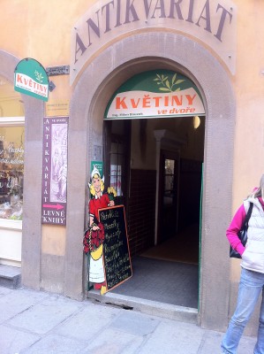 Květiny ve dvoře